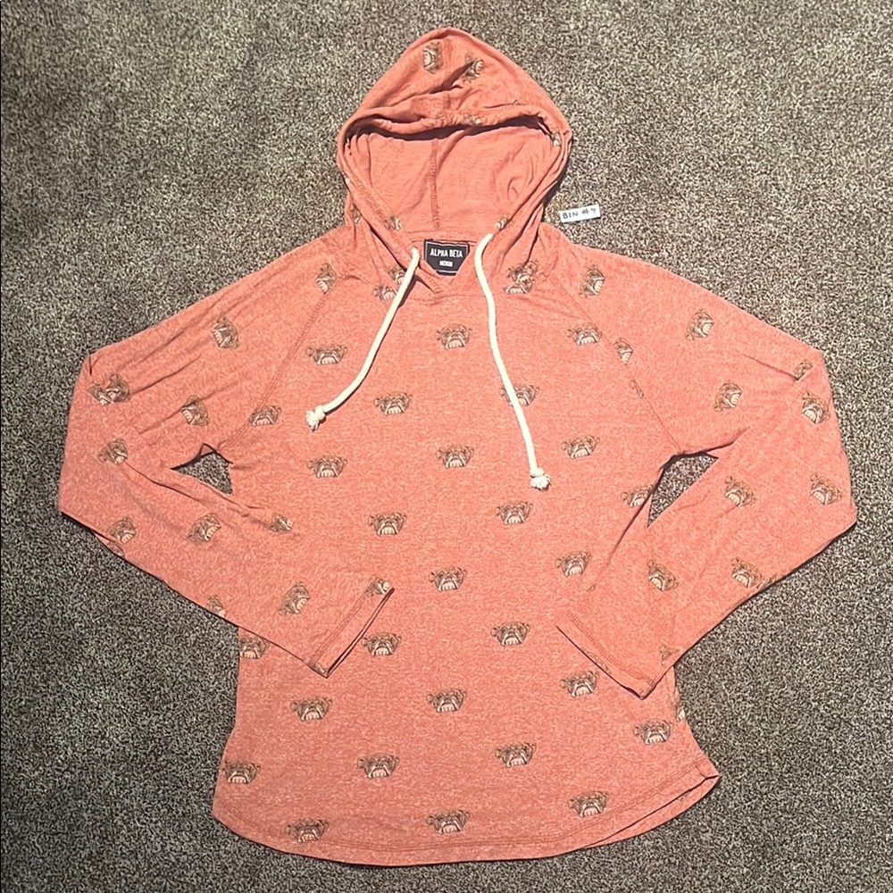 2/$20 Rust Hoodie with Fun Print